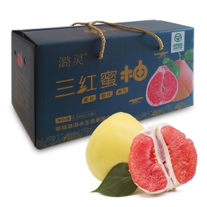 【茶陵】潞灵 三红蜜柚2.5KG