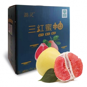 【茶陵】潞灵 三红蜜柚5KG